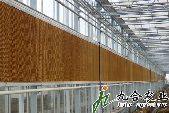 陽(yáng)光板智能溫室 陽(yáng)光板智能溫室