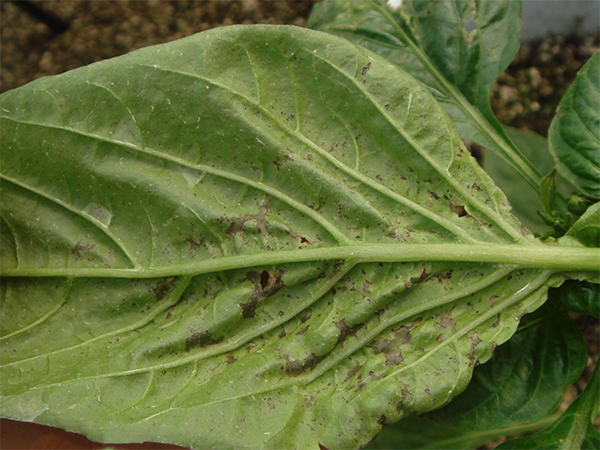 023b5bb5c9ea15ceb730028cb6003af33b87b25d.png 023b5bb5c9ea15ceb730028cb6003af33b87b25d.png