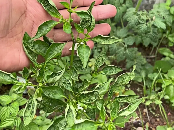 326efedd34fad6d604c30ed86f347a4c.png 326efedd34fad6d604c30ed86f347a4c.png