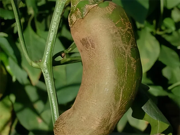 342ac65c103853430012d5889313b07ecb8088be.png 342ac65c103853430012d5889313b07ecb8088be.png