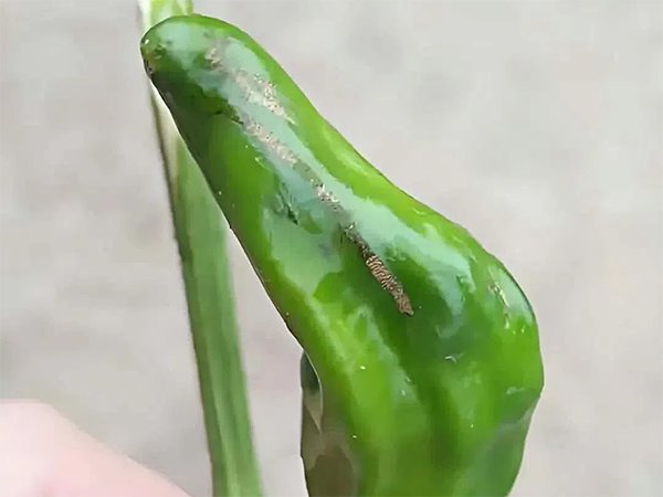 1349c649367ba519a4a81da9692e17e3.png 1349c649367ba519a4a81da9692e17e3.png